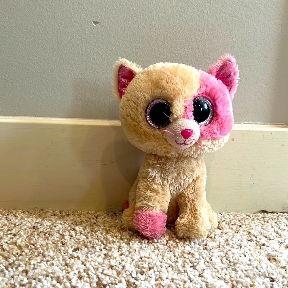 Annabelle the cat 6”